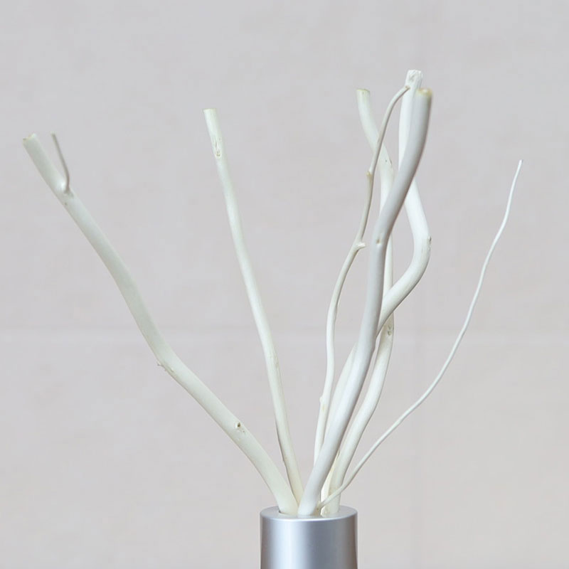 �ࡼ�ࡼ �꡼�ɥǥ��ե塼���� moumou ���륯 100ml [˧��� ���ƥ��å��ǥ��ե塼���� �롼��ե쥰��� ���� ˧�� �ý� ������ ��ӥ� ������ Ĺ���� �ץ쥼��� ���ե�]