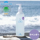 海をまもる洗剤 洗濯用 ポンプボトル 300ml ラベンダー お洗濯60回分！ お肌に優しい 洗濯用剤 液体洗剤 おしゃれ着洗い 中性洗剤 柔軟剤不要 エコ洗剤 部屋干し 赤ちゃん用 ベビー用 デリケート用 環境に優しい SDGs アレルギー サステナブル 節水 節電 時短 日本製