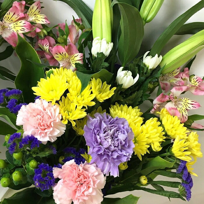 ���ФΤ�������« �ߥå���