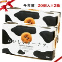 千年屋 おいしいドーナツ。 20個入り x2箱セット(40個) 独自配合の生地を牛乳と卵の水分だけで練り上げ、家庭でつくるドーナツをイメージして作られた、昔懐かしい素朴な味のドーナツです。 八ヶ岳高原牛乳100％ 優しい甘さの素朴な味 シェア可能な個包装タイプ 賞味期限：出荷から5〜6か月程度