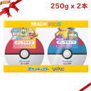 リーチキッズ ポンプ 歯みがき粉 250g x 2本 (イチゴ&ブドウ) ポケモン