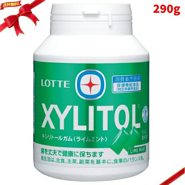 キシリトール ライムミント ガム 290g 大容量 歯科 口臭ケア 粒 シュガーレス