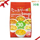 ひかり味噌 春雨スープ 30食