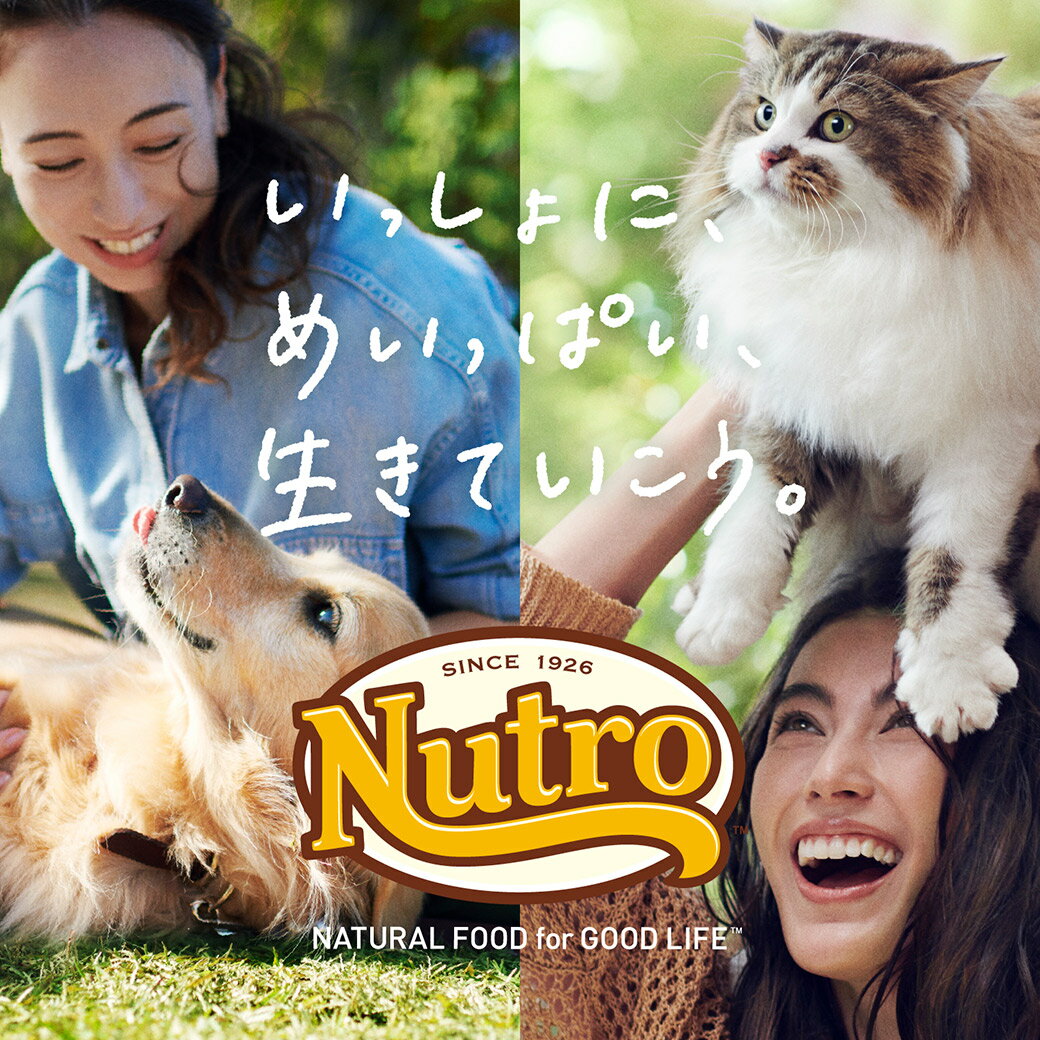 公認店 ニュートロ ワイルドレシピ ドッグフード 超小型犬～小型犬用 成犬用 ラム 4kg 2