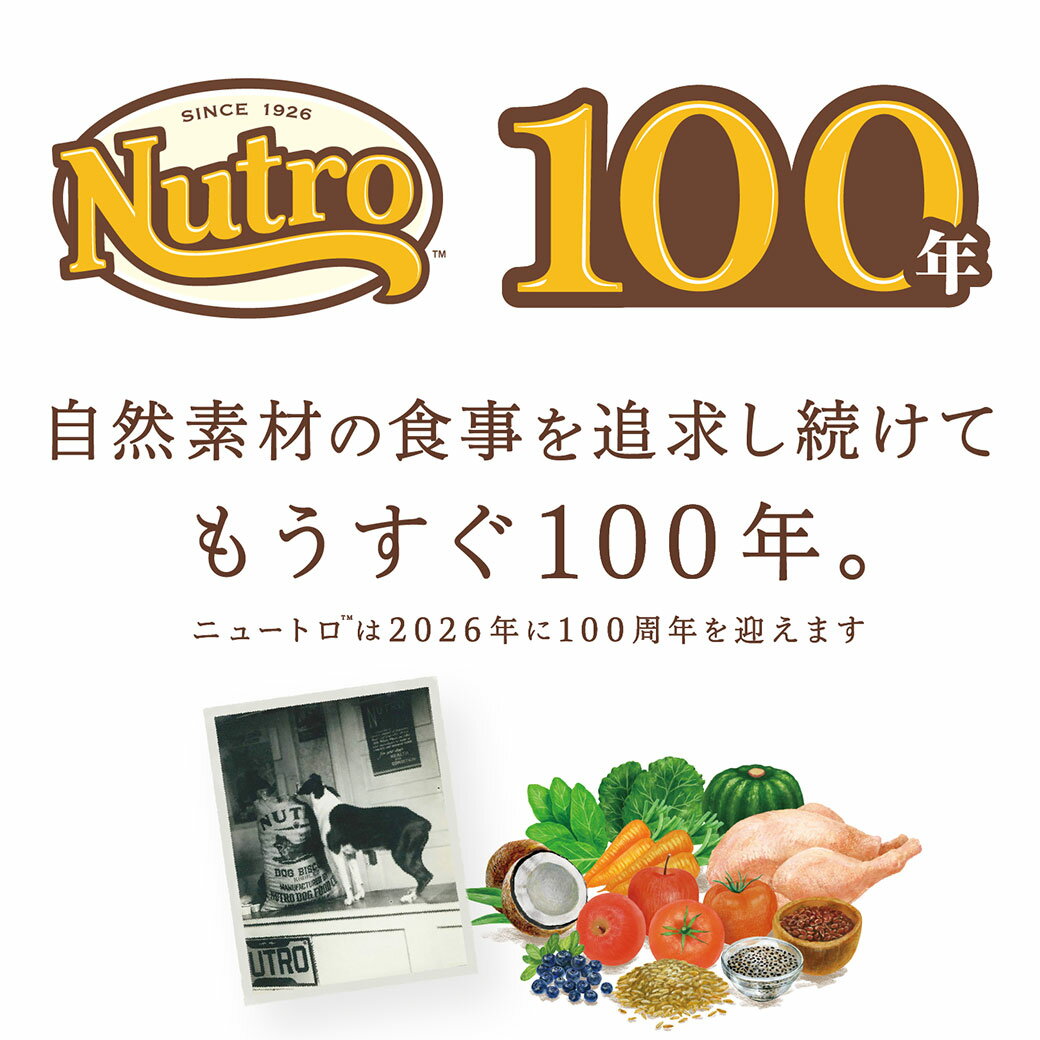 公認店 ニュートロ ワイルドレシピ キャットフ...の紹介画像3