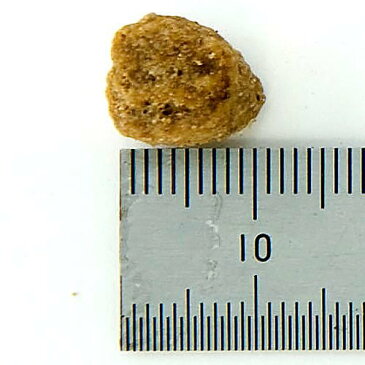 アボ・ダーム(アボダーム) ライト 2kg 【ドッグフード/ドライフード/老犬、肥満傾向の成犬用/アボダ—ム(AVO DERM)/ペットフード/DOG FOOD/ドックフード】