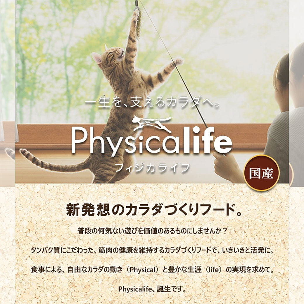 ユニチャーム フィジカライフ 室内 猫用 チキ...の紹介画像2