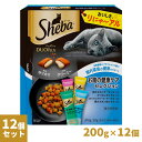 V[o Sheba fI Duo vX ̌NPAZNV 200g~12