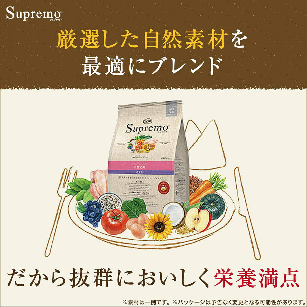 お試し 数量限定 おまけ付 公認店 ニュートロ シュプレモ ドッグフード 子犬用 パピー 幼犬用 小粒 1kg 3