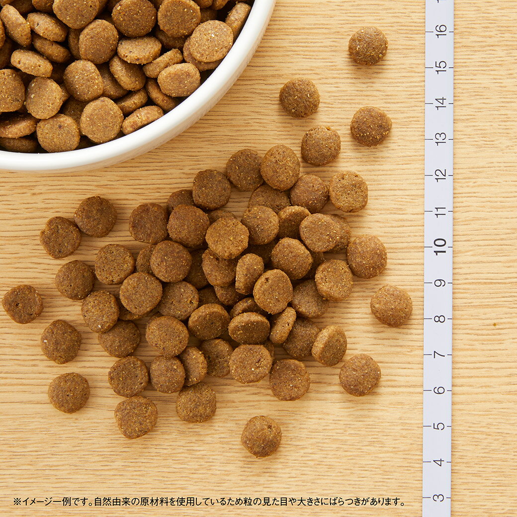 公認店 ニュートロ キャット ワイルドレシピ ...の紹介画像3