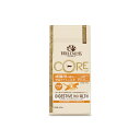 EFlX RA_CWFXeBuwX Lpi1Έȏj `L& 400g  WELLNESS CORE Lbgt[h