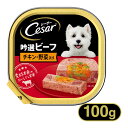 V[U[ Cesar r[t `LEؓ 100g   1 gC hbOt[h EFbgt[h }[XWp