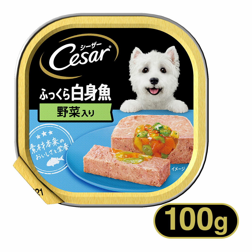 V[U[ Cesar ӂ甒g ؓ 100g  hbOt[h EFbgt[h