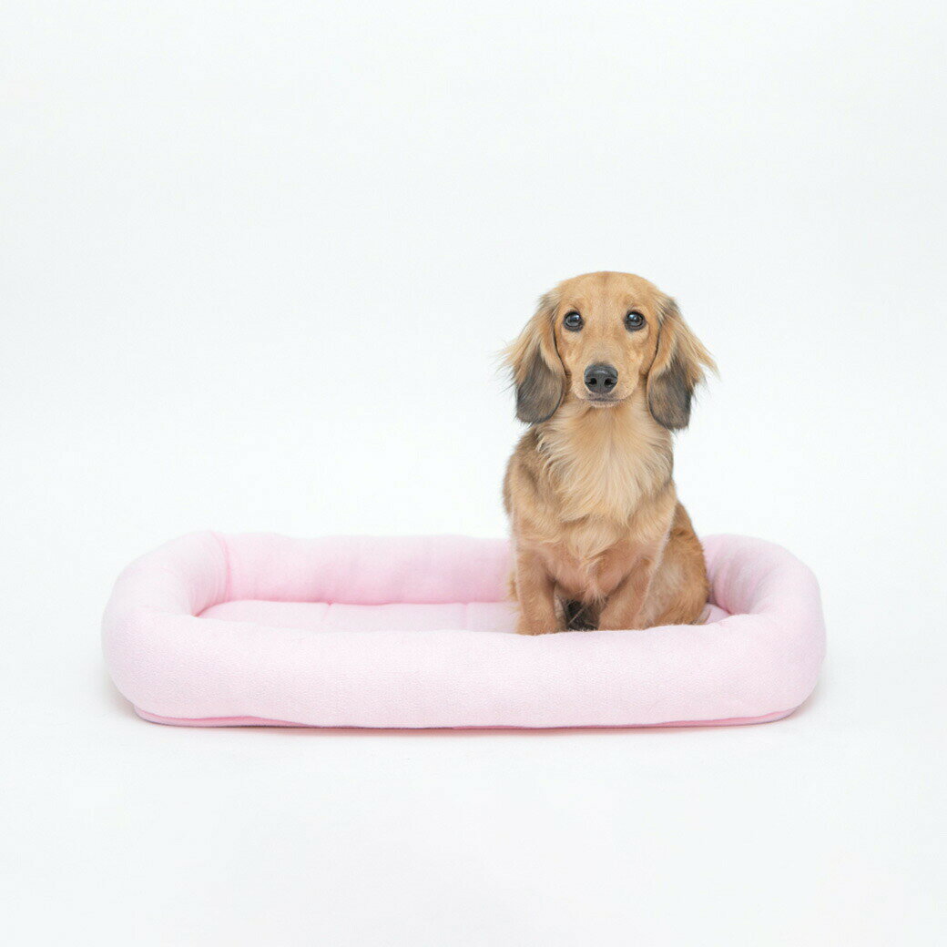 ゆーとぴあ〜猫用品専門店のペットプロ Homey タオルマット M ピンク ■ PetPro 犬用 猫用 ベッド オールシーズン パイル生地 超小型犬用｜アングル3