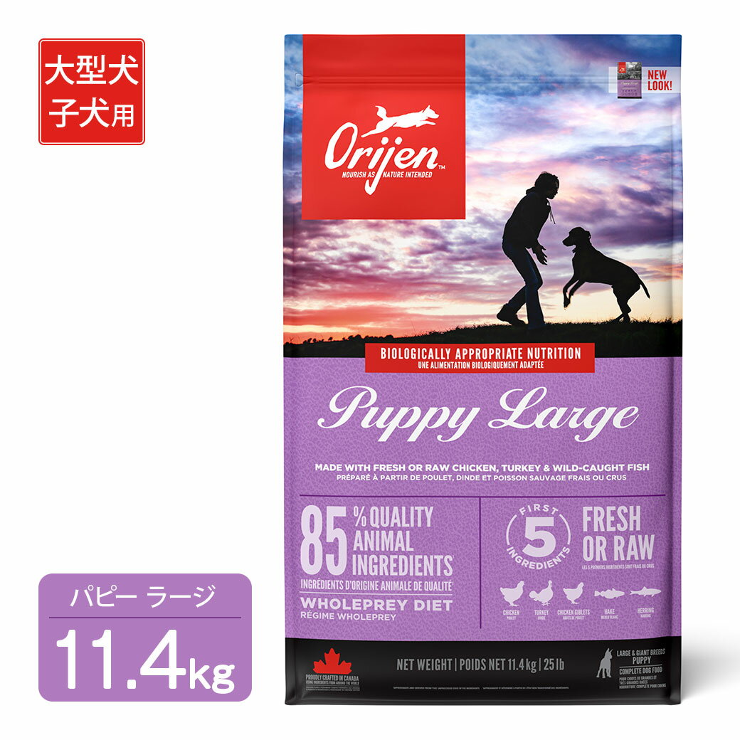 高たんぱくで低カロリーなオリジンパピーラージは、新鮮食材を使用しており、子犬が本来必要とする良質なたんぱく質と脂肪を含んでいます。大型犬種の子犬用。 ■原材料：新鮮鶏肉（21％）、生七面鳥肉（11％）、新鮮鶏内臓（レバー、心臓）（10％）、生の丸ごとヘイク（5％）、生の丸ごとニシン（5％）、新鮮卵（5％）、生七面鳥レバー（5％）、ディハイドレート鶏肉（5％）、ディハイドレートサバ（5％）、ディハイドレートイワシ（4.5％）、ディハイドレートニシン（4％）、丸ごと赤レンズ豆、丸ごと緑レンズ豆、丸ごとエンドウ豆、レンズ豆繊維、丸ごとヒヨコ豆、丸ごとピント豆、エンドウ豆スターチ、ディハイドレート七面鳥肉（2％）、鶏脂肪（2％）、丸ごと白インゲン豆、ポロック油（0.5％）、乾燥ケルプ、新鮮丸ごとカボチャ、新鮮丸ごとバターナッツスクワッシュ、新鮮丸ごとズッキーニ、新鮮丸ごとニンジン、新鮮丸ごとリンゴ、新鮮丸ごと洋梨、乾燥チコリールート、新鮮ケール、新鮮ホウレン草、新鮮ビートの葉、新鮮カブラ菜、丸ごとクランベリー、丸ごとブルーベリー、丸ごとサスカトゥーンベリー、ターメリック、オオアザミ、ゴボウ、ラベンダー、マシュマロルート、ローズヒップ　酸化防止剤：植物油から抽出したトコフェロール：121mg、クエン酸：40mg、ローズマリーエキス：80mg　添加栄養素（1kgあたり）：3a370 タウリン：400mg、3b606（亜鉛：105mg）、3b406（銅：11mg）、3a821 ビタミンB1：9.8mg、3a700 ビタミンE：120IU　添加腸球菌：4b1707 エンテロコッカスフェシウム菌 NCIMB 10415 1x10^9 CFU ■保証成分：粗たんぱく質 38％、脂肪分 16％、粗灰分 8％、粗繊維 6％、水分 12％、カルシウム 1.3％、リン 1.1％、オメガ6脂肪酸 2.8％、オメガ3脂肪酸 0.9％、DHA/EPA 0.3％/0.2％ ■代謝エネルギー 3760kcal/kgまたは250mlカップ1杯（120g）につき、451kcalです。 ■原産国：カナダ ■給与量/1日 犬の体重：成犬時理想体重（30kg：40kg：50kg：60kg：70kg：80kg） 5kg：160g、160g、160g、160g、160g、160g 10kg：270g、270g、270g、270g、270g、270g 20kg：360g、360g、450g、450g、450g、450g 30kg：320g、480g、480g、480g、630g、630g 40kg：-、390g、450g、600g、630g、630g 50kg：-、-、440g、540g、720g、720g 60kg：-、-、-、520g、630g、840g 70kg：-、-、-、-、600g、720g 80kg：-、-、-、-、-、640g ■与え方 1日に2回食事を与え、犬がいつでも飲めるように、ボウルに新鮮できれいな水を常に入れておきましょう。 ■内容量：11.4kg ■賞味期間：製造から18ヶ月