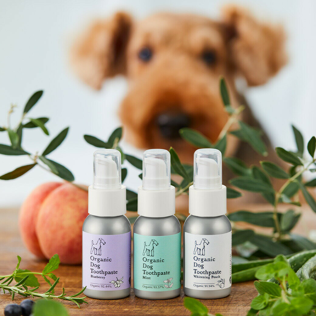 made of Organics オーガニックドッグ トゥースペースト ブルーベリー 50g ■ メイドオブオーガニクス 犬用 ケア用品 歯磨き ペースト デンタルケア