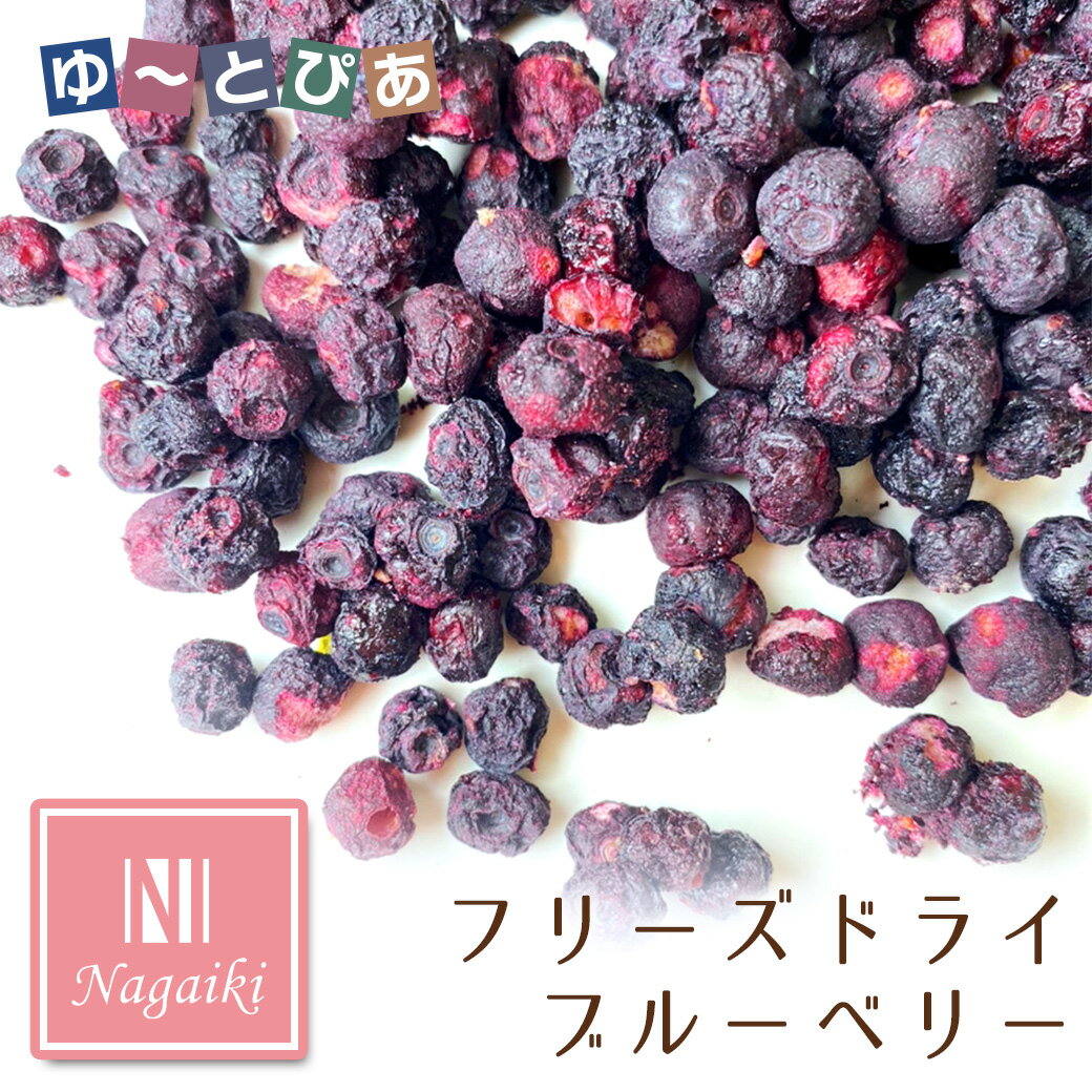 Rakuten - オーシーファーム Nagaiki ながいき フリーズドライ ブルーベリー 15g