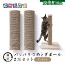 猫壱 バリバリつめとぎポール ダンボール レギュラー 交換用 2本セット