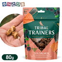 スリーイレブン トライバル エアドライトリーツ サーモン 80g