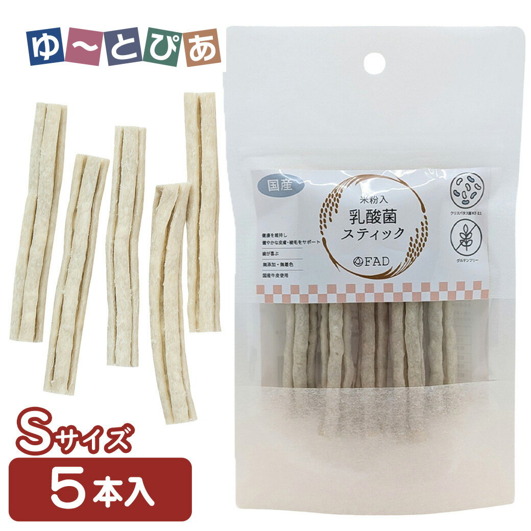 Shoe Shape - ダッドウェイ 乳酸菌スティック S 5本入