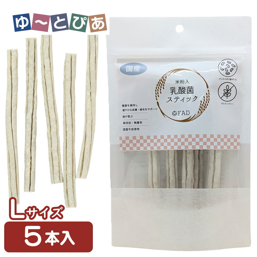 Chewing Gums - ダッドウェイ 乳酸菌スティック L 5本入
