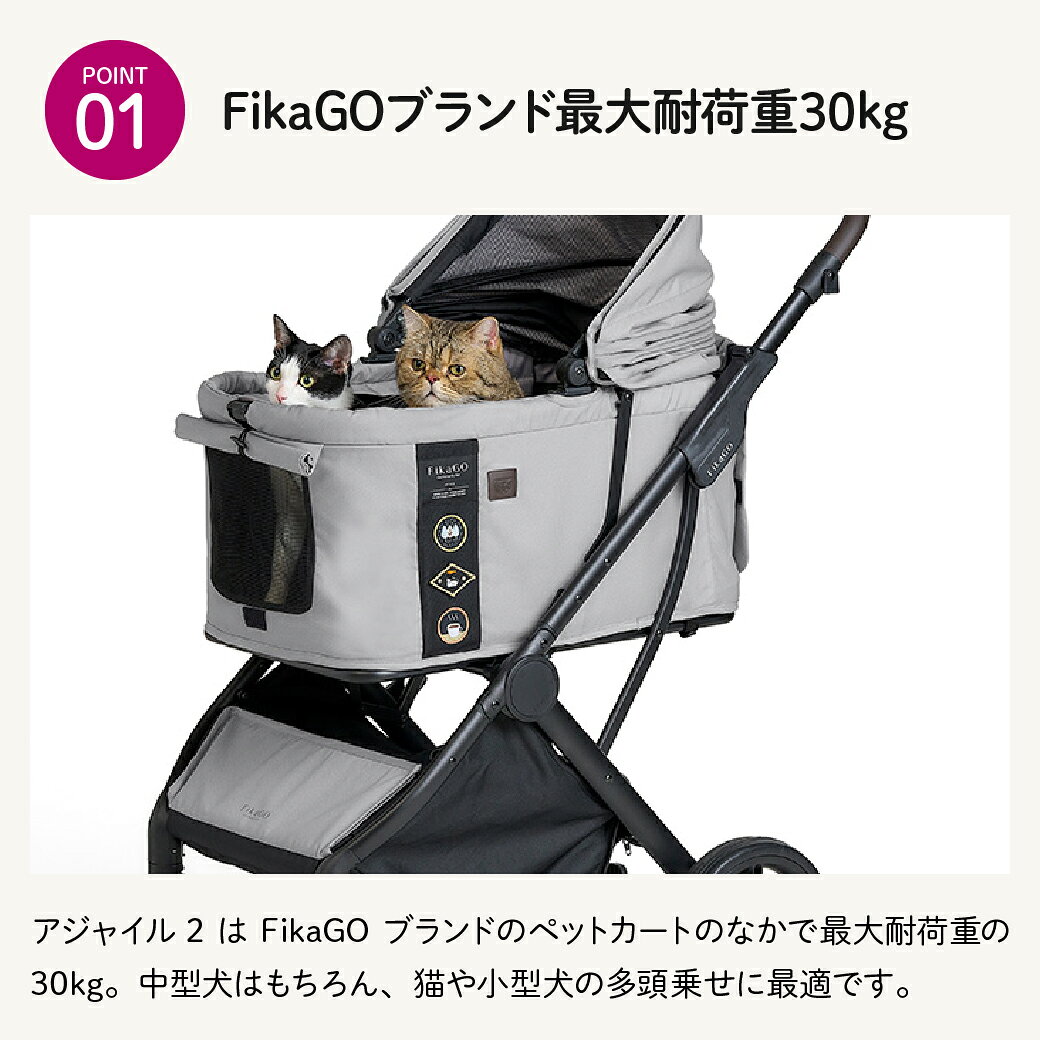 コンビ フィカゴー アジャイル2