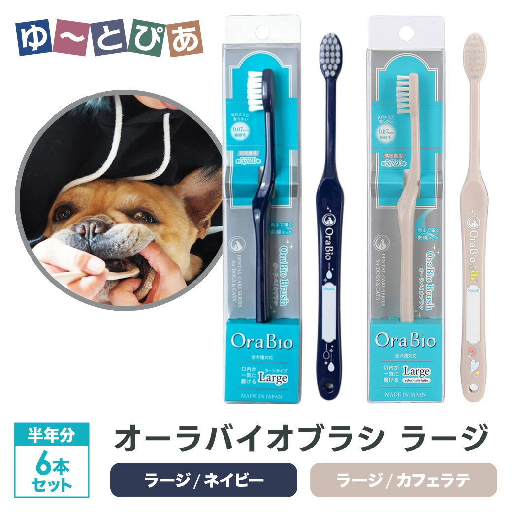 BYRON OraBio オーラバイオブラシ ラージ 6本セット（ネイビー / カフェラテ）