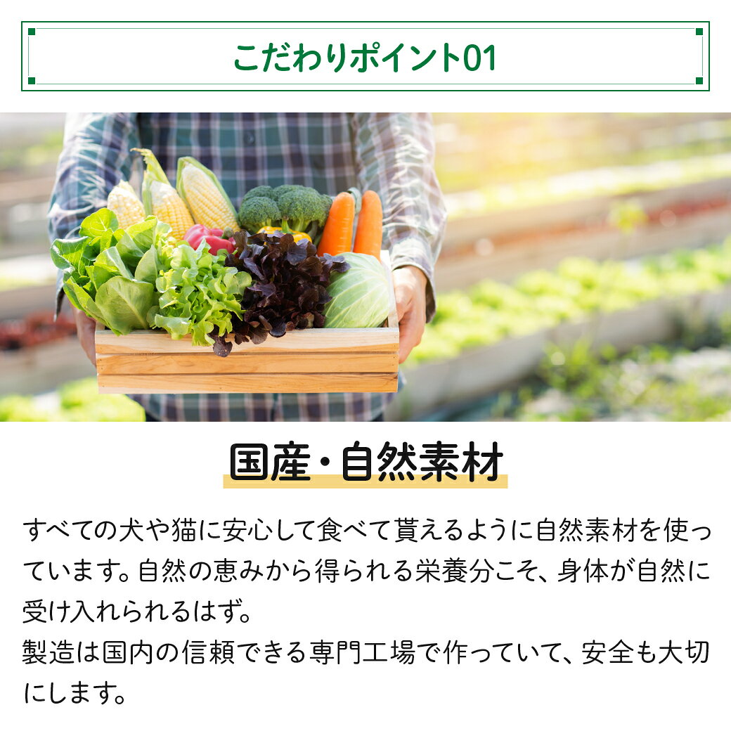 ペットの恵み 365 北海道生まれの ゆめぴりか有機玄米使用 ぽんサクっ 各種