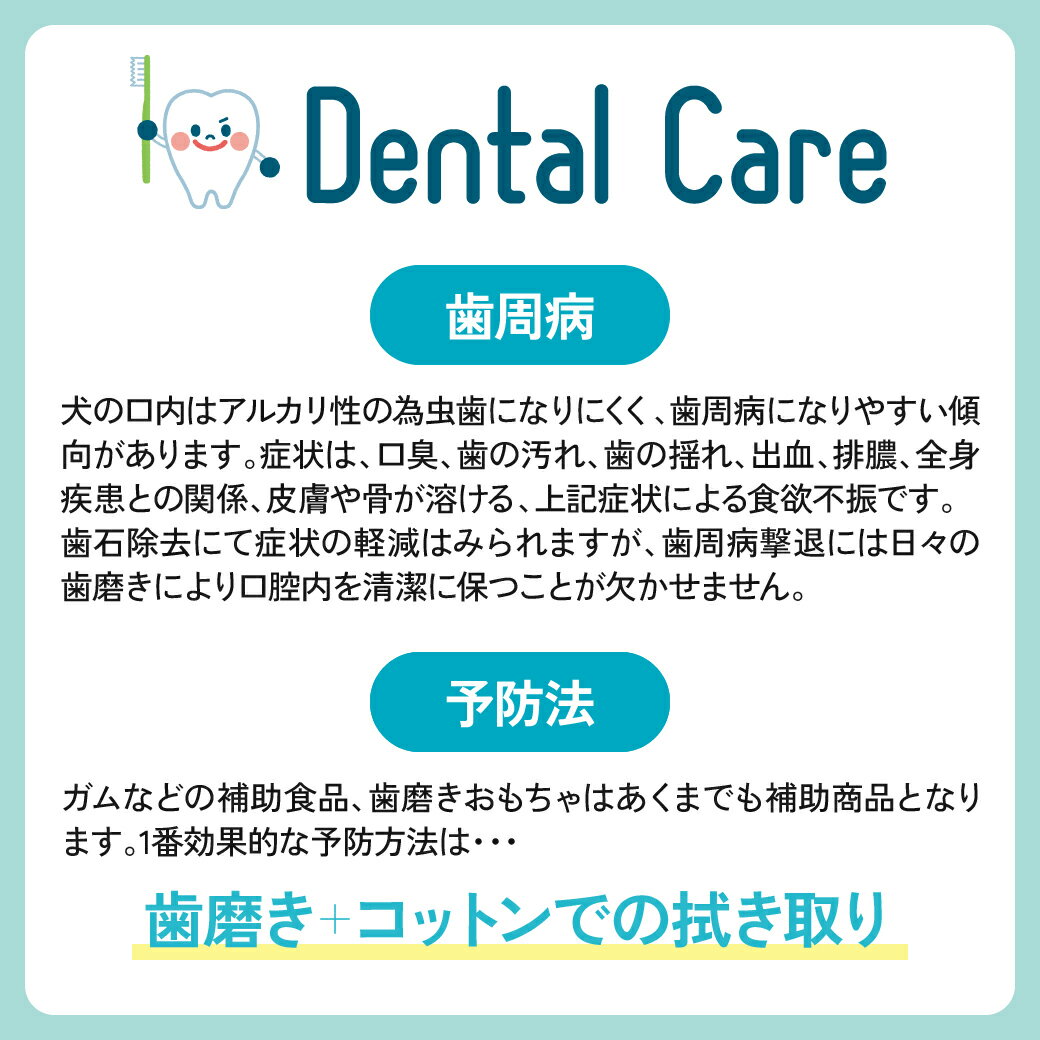 BYRON OraBio オーラバイオペーストPRO 50g 3本セット