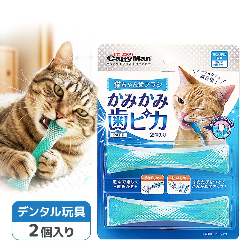 遊んで楽しく歯みがきすることができる歯ブラシです。 ●歯がネットに食い込み、噛むことで繊維が歯垢をこすり取ります。 ●猫ちゃんが噛みやすいスティック型です。 ●またたびを使うとかみかみ効果がUPします。 ご購入後、商品に不備・不良等がございましたら、下記製造メーカーまでお問い合わせくださいますよう、お願い致します。 ■ドギーマンハヤシ株式会社 〒537-0002 大阪府大阪市東成区深江南1-16-14 0120-086-192 平日(月〜金、祝日除く)　9:00〜17:00 よく検索されるキーワード ｜ドギーマン　キャティーマン　猫　歯磨き　歯ブラシ　ハブラシ　ブラッシング　