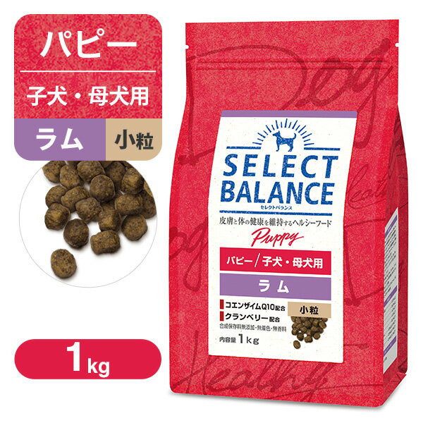 樂天商城 - セレクトバランス パピー（子犬用） ラム 小粒 1kg