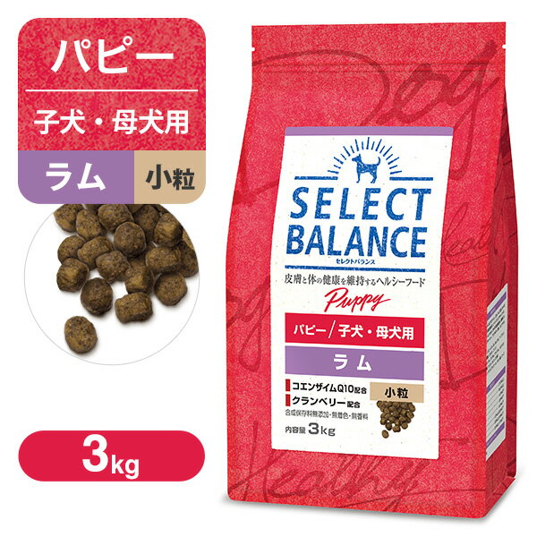 セレクトバランス パピー（子犬用） ラム 小粒 3kg