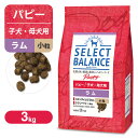 セレクトバランス パピー（子犬用） ラム 小粒 3kg ■ ドッグフード Select Balance 生後1才令未満 妊娠 授乳期の成犬用