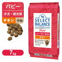 セレクトバランス パピー（子犬用） チキン 小粒 7kg ■ ドッグフード Select Balance 生後1才令未満 妊娠 授乳期の成犬用