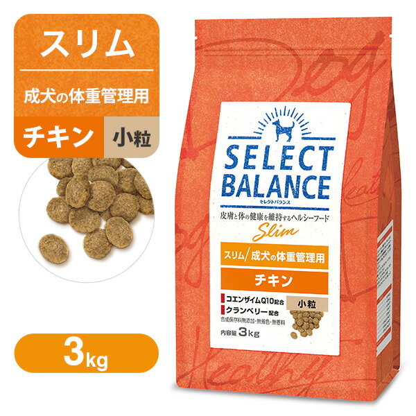 ZNgoX Xȋ̏dǗpj `L  3kg  hbOt[h Select Balance 1ˈȏ̔얞X̐p FCg RSL