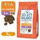 ZNgoX Xȋ̏dǗpj   3kg  hbOt[h Select Balance 1ˈȏ̔얞X̐p FCg