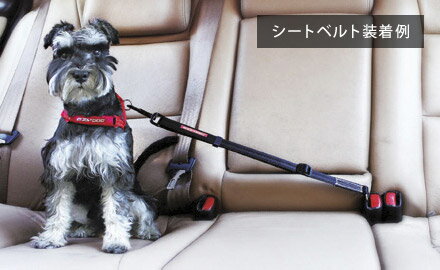EZYDOG（イージードッグ） クリック ブラック ■ ドライブ アウトドア 車 旅行 移動 おでかけ 犬用品 ペット グッズ 用品