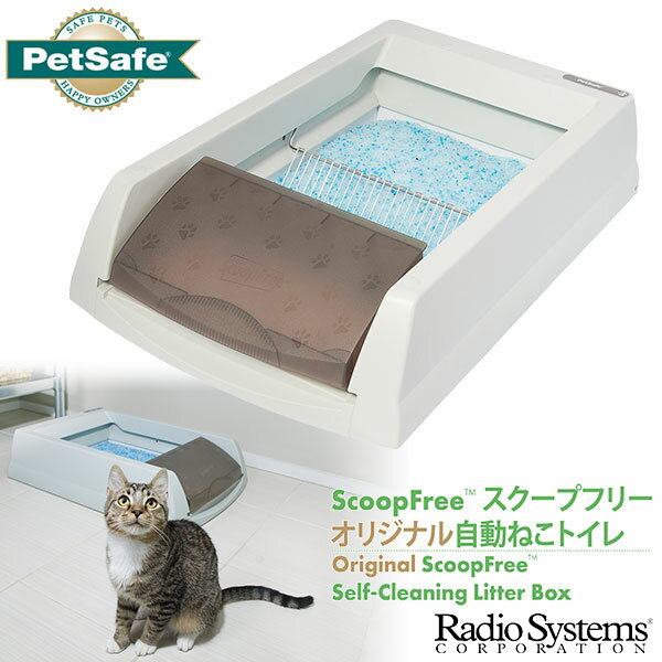 猫の自動トイレのおすすめは?安全性の高いペットトイレランキング