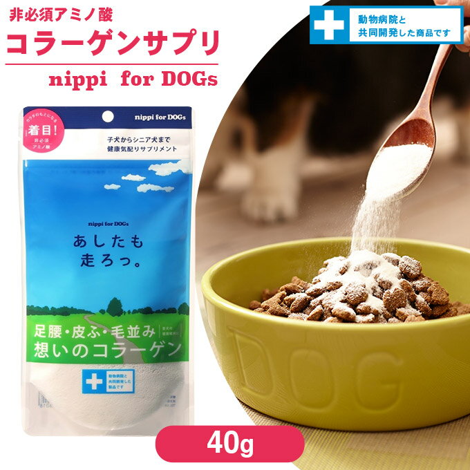 ニッピ あしたも走ろっ。 40g ■ 犬 ドッグ サプリメント Supplement コラーゲン 栄養補助食品 粉末 パウダー 健康維持