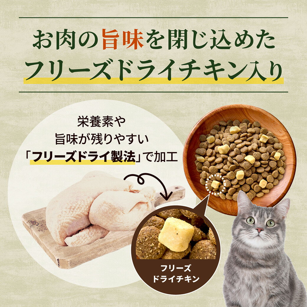公認店 ニュートロ キャット ワイルドレシピ ...の紹介画像2