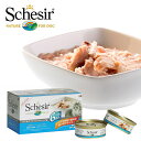 シシア 猫 Schesir キャットフード ツナ&ライス クッキングウォータータイプ マルチパック 50g×6P 【ウェットフード・猫缶/成猫用(アダルト)】【...