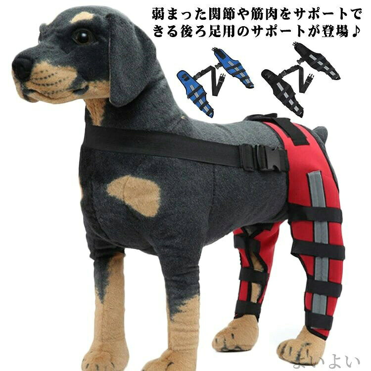 弱まった関節や筋肉をサポートできる後ろ足用のサポートが登場♪老犬に弱まった筋力の回復を補助することも可能です。さらに手術や関節の痛み、ケガなどによる痛みを軽減！傷舐め防止や冷え対策にも使えます♪伸縮性があり足にフィットするように各種ベルトが細部に付いているので、ズレにくく付け心地を考えた確かな仕様となっています。 サイズXS S M Lサイズについての説明サイズ：単位cm/kg XS 太腿回り17-20 関節回り11-13 脚口回り7-10 足の高さ16 適応体重5-8 S 太腿回り22-25 関節回り13-16 脚口回り10-14 足の高さ20 適応体重8.5-14.5 M 太腿回り29-32 関節回り17-20 脚口回り13-16 足の高さ25 適応体重15-22.5 L 太腿回り36-39 関節回り22-25 脚口回り16-19 足の高さ30 適応体重25-32.5素材SBR色左右セットHJ40 左右セットHJ41 左右セットHJ42備考 ●サイズ詳細等の測り方はスタッフ間で統一、徹底はしておりますが、実寸は商品によって若干の誤差(1cm〜3cm )がある場合がございますので、予めご了承ください。●製造ロットにより、細部形状の違いや、同色でも色味に多少の誤差が生じます。●パッケージは改良のため予告なく仕様を変更する場合があります。▼商品の色は、撮影時の光や、お客様のモニターの色具合などにより、実際の商品と異なる場合がございます。あらかじめ、ご了承ください。▼生地の特性上、やや匂いが強く感じられるものもございます。数日のご使用や陰干しなどで気になる匂いはほとんど感じられなくなります。▼同じ商品でも生産時期により形やサイズ、カラーに多少の誤差が生じる場合もございます。▼ メーカー希望小売価格はメーカーカタログに基づいて掲載しています