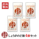 送料無料 レターパック【しょうがのど飴 70g×4袋】 キャンディ 飛騨高山 岐阜 高山 辛い 国産しょうが ジンジャー しょうが 生姜 桔梗..