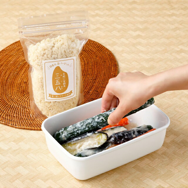 三五八 300g 500g 一夜漬けの素(米 米麹 食塩) 福島県 田村市 ほりこしフォーライフ 送料込み