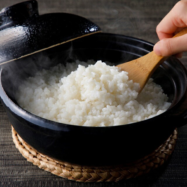 先行予約【令和7年産・新米】田村市 光農園 お米 無洗米5kg 五百川 福島県 予約受付・順次発送のサムネイル