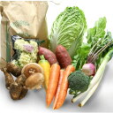 ふくしま厳選野菜・米5キロセット お中元 お歳暮 父の日 母の日 敬老の日 ギフト 贈答品 お土産 手土産 ふくしま 旬鮮直食材 しのや