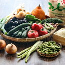 貝ミネラル栽培社米コシヒカリと季節の野菜果物セット 旬食福来