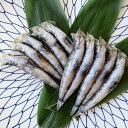 【魚屋の娘厳選】いわき産 メヒカリの丸干し お中元 お歳暮 父の日 母の日 敬老の日 ギフト 贈答品 お土産 手土産 ふくしま