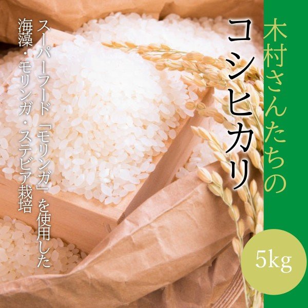 令和7年産木村さんたちのコシヒカリ 5kg 10kg 20kg 福島県産 新米 お米 精米 お土産 手土産 海藻・モリンガ・ステビア栽培 有機肥料 減農薬
