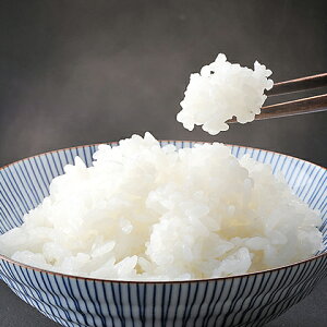 【令和7年産】こだわりの奥会津只見産コシヒカリ 5kg 10kg(5kg×2) ふくしま 福島県 奥会津 只見町 コシヒカリ ギフト 贈答用 お中元 お歳暮 お祝い